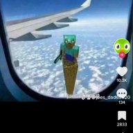oiseaupvp